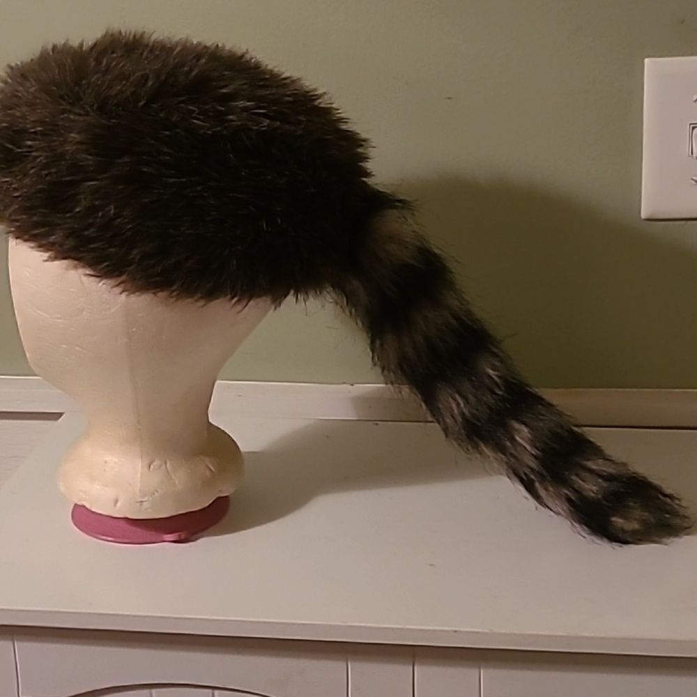 Coonskin Cap - Picture 3 of 6
